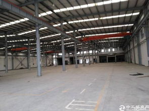 搶占先機(jī)！廣州新塘全新高臺(tái)廠房火爆招租，打造專業(yè)清洗刷生產(chǎn)新高地